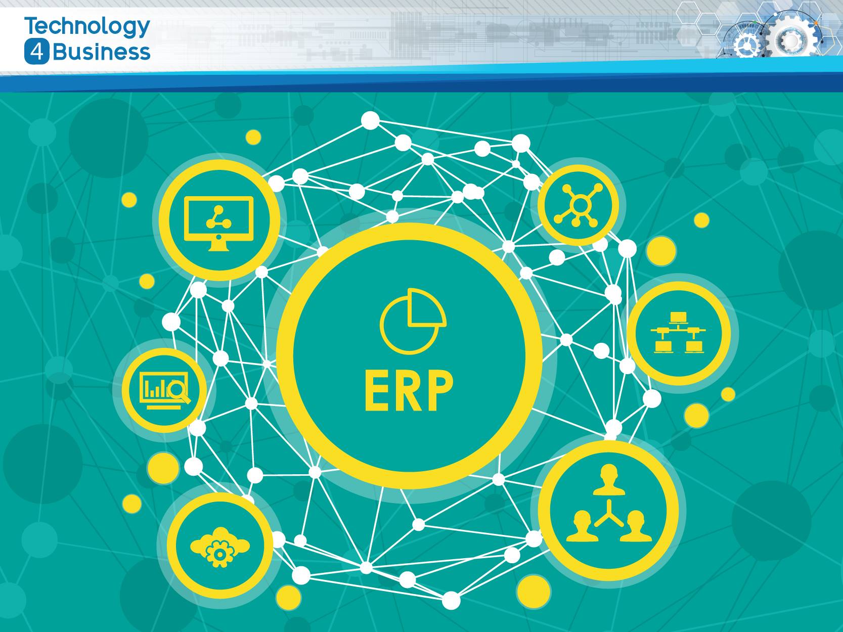 New project: Large-scale ERP systems survey